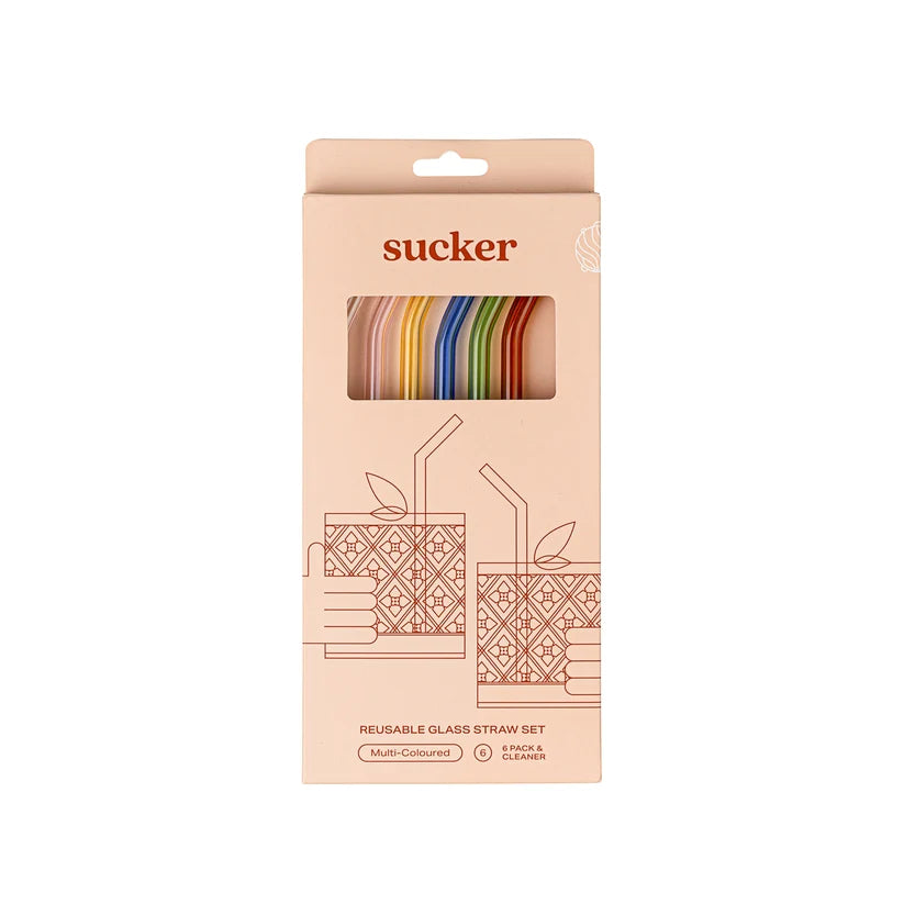 Drinking Straws Multicolour 6 Pack