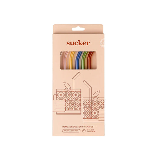 Drinking Straws Multicolour 6 Pack